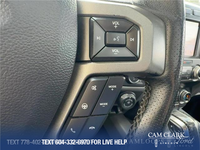2019 Ford F-150 Raptor (Stk: T6041A) in Kamloops - Image 16 of 25
