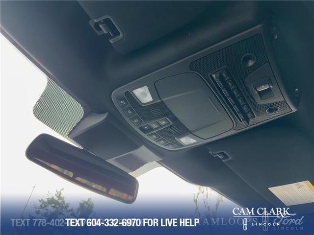 2019 Ford F-150 Raptor (Stk: T6041A) in Kamloops - Image 21 of 25