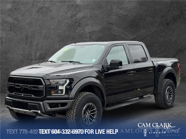 2019 Ford F-150 Raptor (Stk: T6041A) in Kamloops - Image 1 of 25