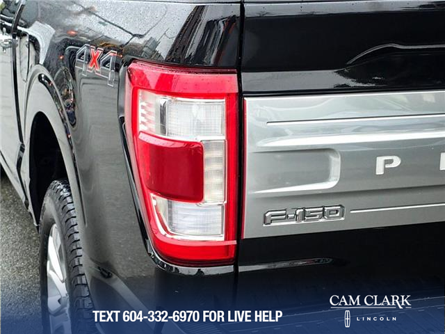 2022 Ford F-150 Platinum (Stk: P13876) in North Vancouver - Image 11 of 22