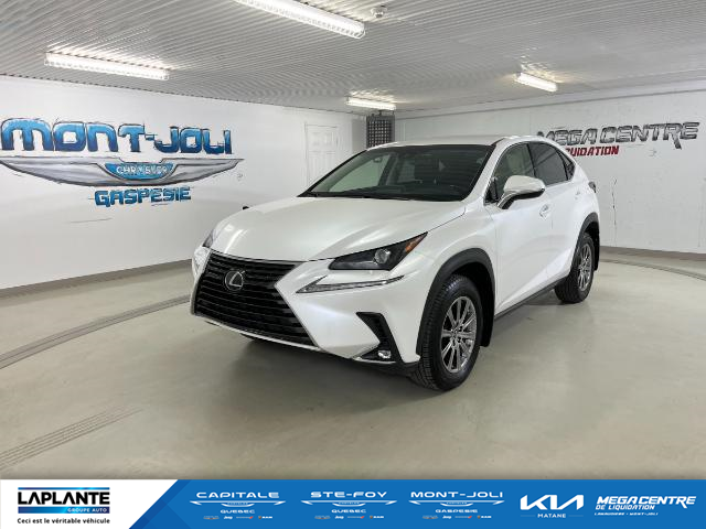 2019 Lexus NX 300 Base (Stk: u1203d) in Mont-Joli - Image 1 of 13