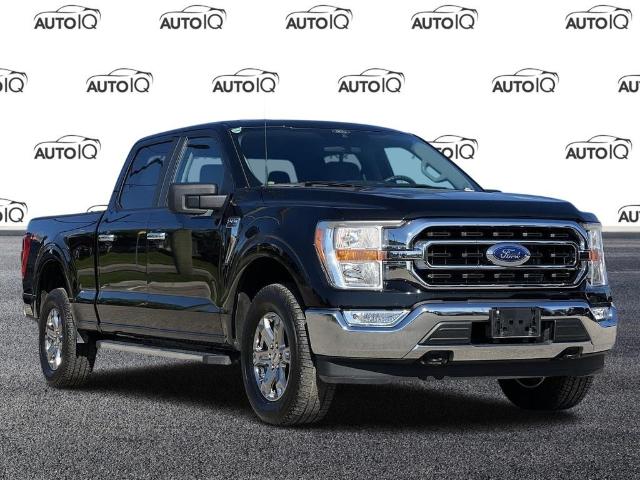 2022 Ford F-150 XLT (Stk: 169440) in Kitchener - Image 1 of 19