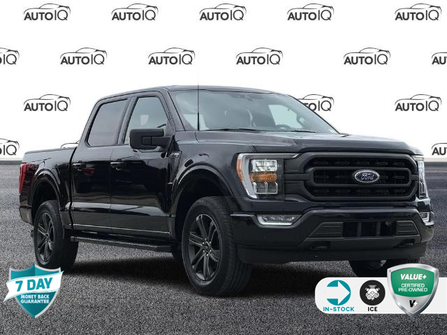 2022 Ford F-150 XLT (Stk: 23F4220A) in Kitchener - Image 1 of 20