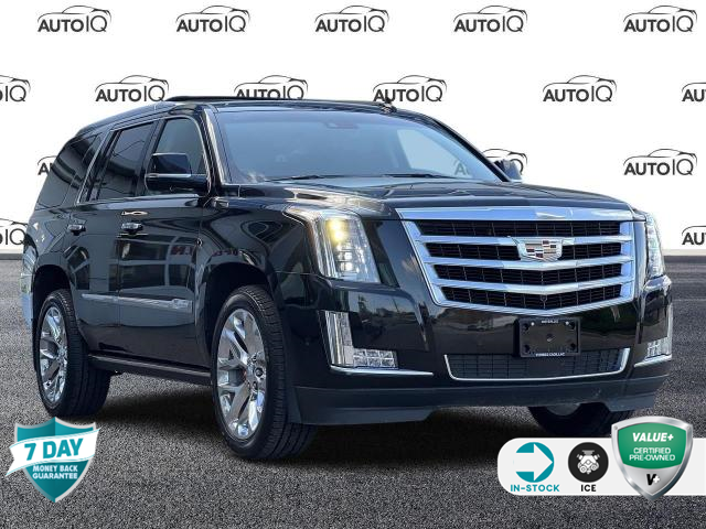 2018 Cadillac Escalade Premium Luxury (Stk: 336348) in Waterloo - Image 1 of 22
