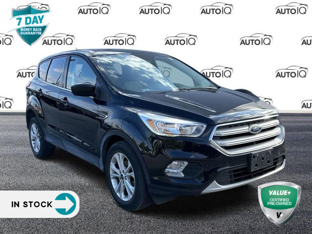 2019 Ford Escape SE (Stk: 50-985) in St. Catharines - Image 1 of 20