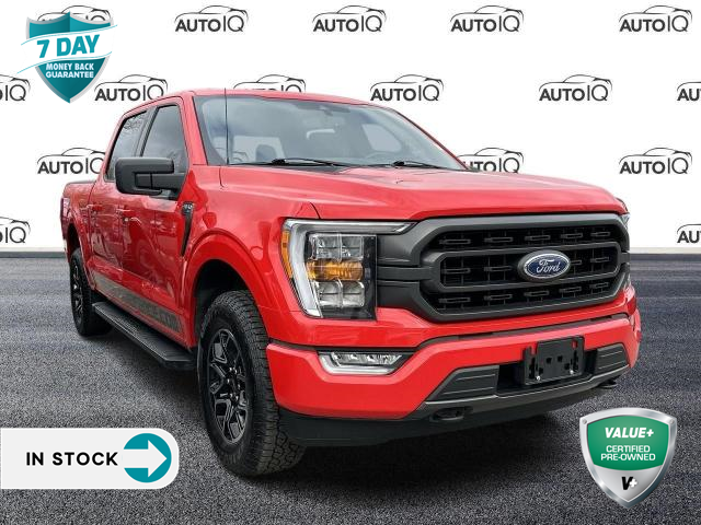 2021 Ford F-150 XLT (Stk: 50-979) in St. Catharines - Image 1 of 14