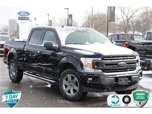 2019 Ford F-150 XLT (Stk: 1HL661) in Hamilton - Image 1 of 18