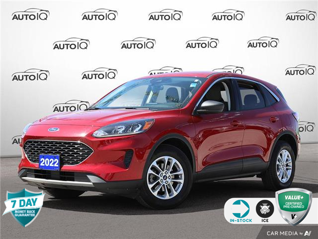 2022 Ford Escape SE (Stk: 603821) in St. Catharines - Image 1 of 27