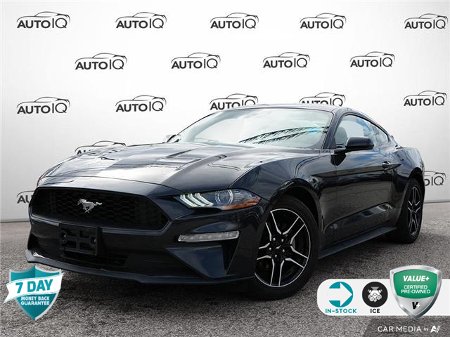2023 Ford Mustang EcoBoost (Stk: 502430) in St. Catharines - Image 1 of 28
