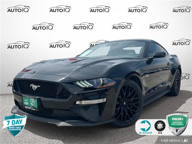 2021 Ford Mustang GT Premium (Stk: R491A) in Grimsby - Image 1 of 23