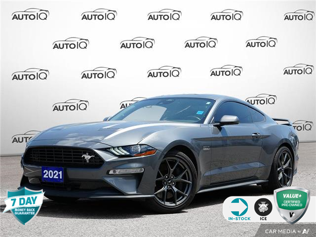 2021 Ford Mustang EcoBoost Premium (Stk: 502490) in St. Catharines - Image 1 of 30