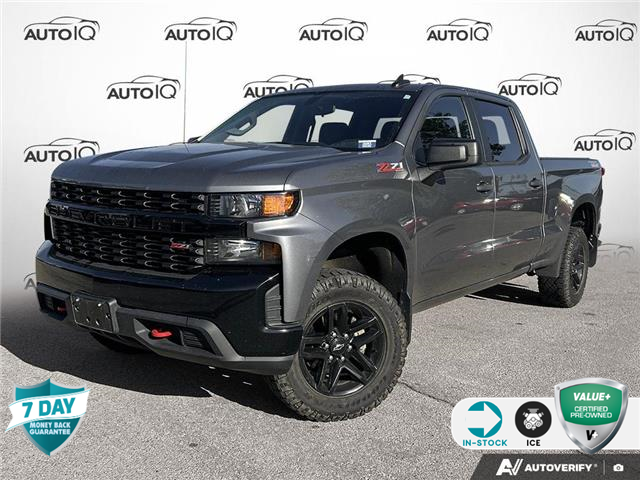 2022 Chevrolet Silverado 1500 LTD Custom Trail Boss (Stk: P226855) in Grimsby - Image 1 of 14