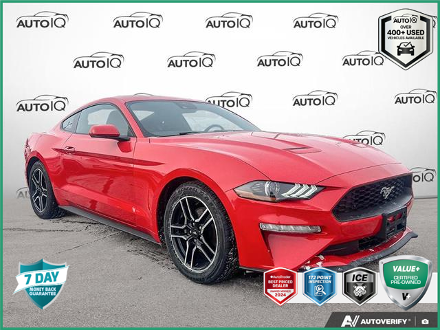 2021 Ford Mustang EcoBoost (Stk: P7325X) in Oakville - Image 1 of 24