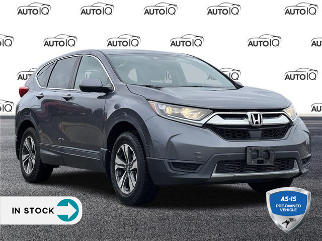 2017 Honda CR-V LX (Stk: 62722UAXZ) in Kitchener - Image 1 of 19