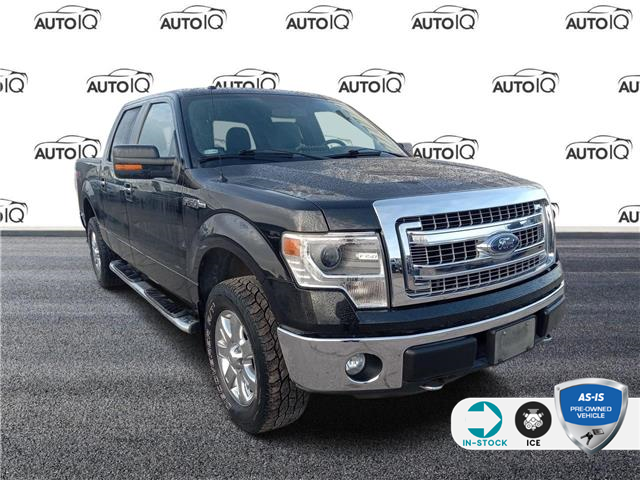 2014 Ford F-150 XLT (Stk: FF115AZ) in Sault Ste. Marie - Image 1 of 24