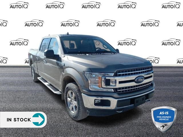 2019 Ford F-150 XLT (Stk: FF280A) in Sault Ste. Marie - Image 1 of 23