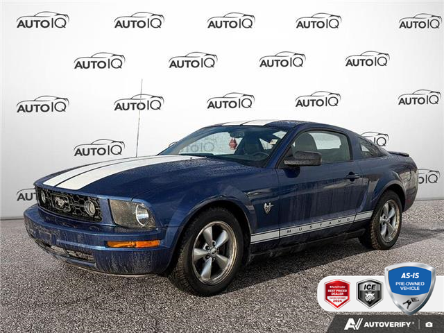 2009 Ford Mustang V6 (Stk: D5X084XZ) in Oakville - Image 1 of 25