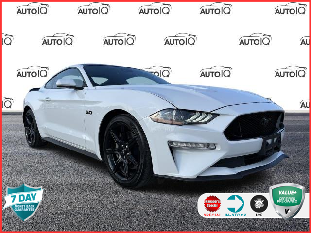 2019 Ford Mustang GT (Stk: 37210BU) in Barrie - Image 1 of 20