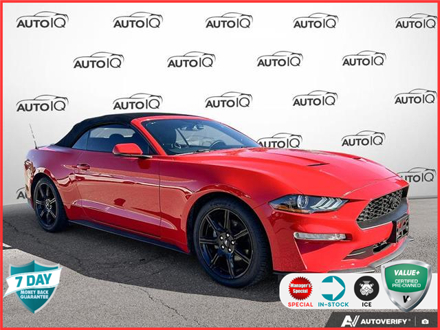 2019 Ford Mustang EcoBoost Premium (Stk: P7176A) in Oakville - Image 1 of 25 2019 Ford Mustang EcoBoost Premium (Stk: P7176A) in Oakville - Image 1 of 25