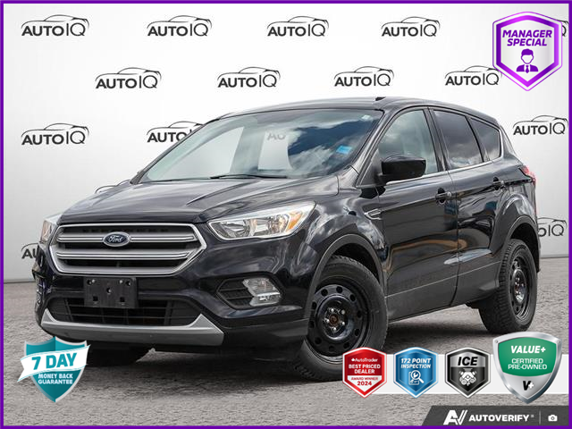 2019 Ford Escape SE (Stk: 502743) in St. Catharines - Image 1 of 27