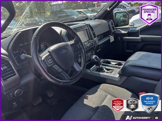 2019 Ford F-150 XLT (Stk: D5F166A) in Oakville - Image 13 of 25