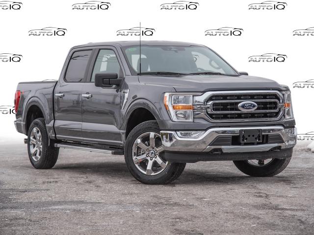 2023 Ford F-150 XLT (Stk: 23F1150) in St. Catharines - Image 1 of 23