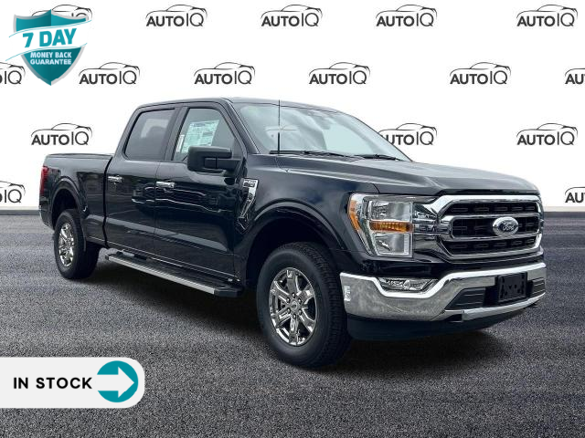 2023 Ford F-150 XLT (Stk: FF351) in Waterloo - Image 1 of 22