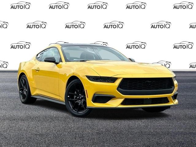 2024 Ford Mustang EcoBoost (Stk: MF386) in Waterloo - Image 1 of 20