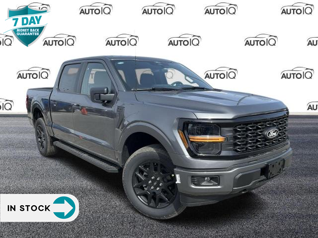 2024 Ford F-150 STX (Stk: 4F055) in Oakville - Image 1 of 21