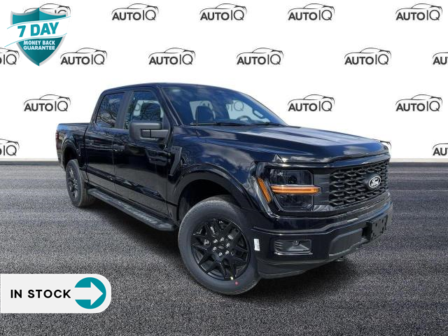 2024 Ford F-150 STX (Stk: 4F050) in Oakville - Image 1 of 21
