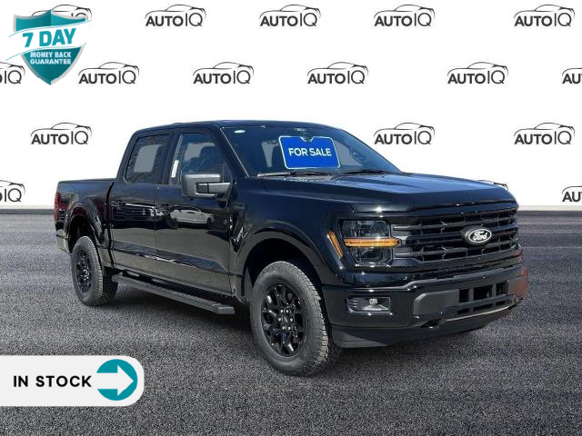 2024 Ford F-150 XLT (Stk: 24F1179) in St. Catharines - Image 1 of 21