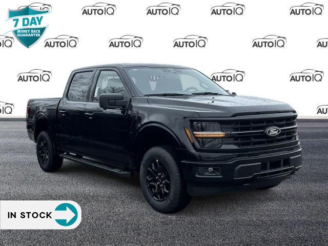 2024 Ford F-150 XLT (Stk: 24F1175) in St. Catharines - Image 1 of 21