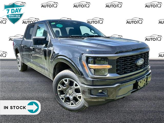 2024 Ford F-150 STX (Stk: 4F002) in Oakville - Image 1 of 17