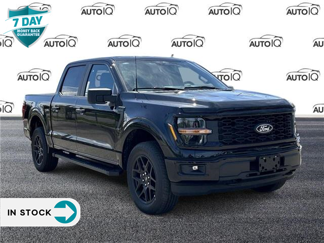 2024 Ford F-150 STX (Stk: 24F1448) in St. Catharines - Image 1 of 21