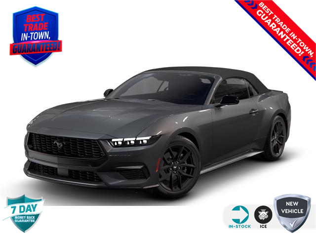 2025 Ford Mustang EcoBoost (Stk: 250301) in Hamilton - Image 1 of 7