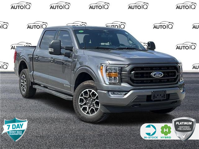 2023 Ford F-150 XLT (Stk: 3T831A) in Oakville - Image 1 of 21