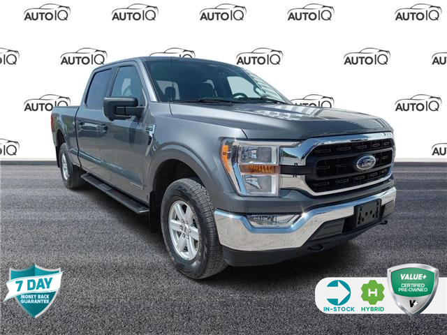 2021 Ford F-150 XLT (Stk: 94865) in Sault Ste. Marie - Image 1 of 24