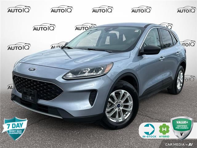 2022 Ford Escape SE Hybrid (Stk: P7154) in Oakville - Image 1 of 24