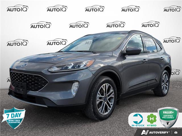 2021 Ford Escape SEL Hybrid (Stk: FH252AX) in Sault Ste. Marie - Image 1 of 24