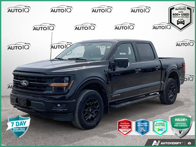 2024 Ford F-150 XLT (Stk: MFL95470) in Sault Ste. Marie - Image 1 of 25