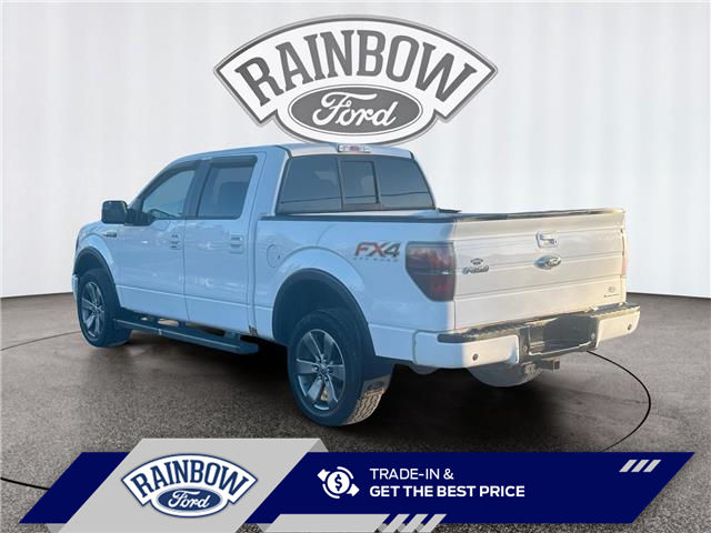 2014 Ford F-150  (Stk: 25T134A) in ROCKY MOUNTAIN HOUSE - Image 3 of 15