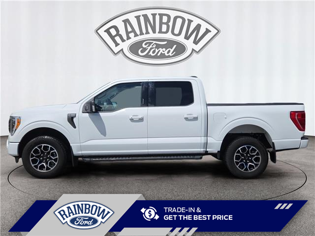 2023 Ford F-150 XLT (Stk: 26P030) in ROCKY MOUNTAIN HOUSE - Image 2 of 15