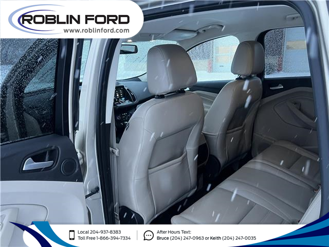 2017 Ford Escape Titanium (Stk: F7DAHM) in Roblin - Image 3 of 4