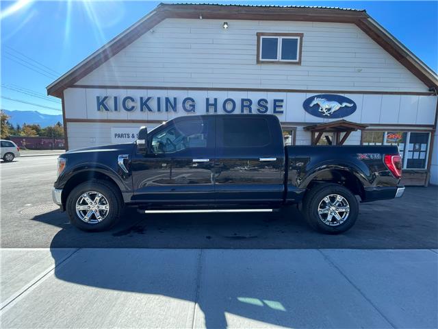 2023 Ford F-150 XLT (Stk: 10710) in Golden - Image 1 of 28