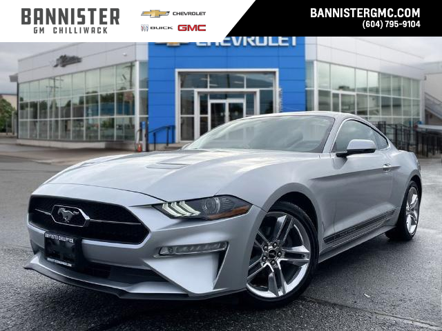 2019 Ford Mustang EcoBoost (Stk: M24-0059P) in Chilliwack - Image 1 of 20