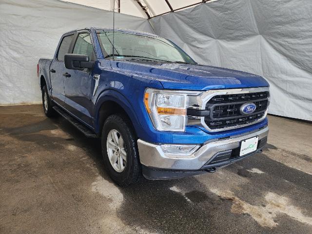 2022 Ford F-150  (Stk: IU3518R) in Thunder Bay - Image 1 of 29