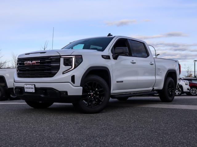 2024 GMC Sierra 1500 Elevation (Stk: 4202380) in Langley City - Image 1 of 29