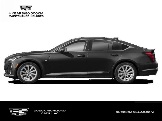 2024 Cadillac CT5 Premium Luxury (Stk: 24C52381) in Richmond - Image 1 of 1
