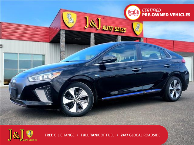 2019 Hyundai Ioniq EV Base (Stk: J25020) in Brandon - Image 1 of 22