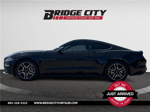 2019 Ford Mustang EcoBoost (Stk: 3621) in Lethbridge - Image 1 of 13